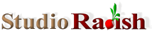 Studio Radish